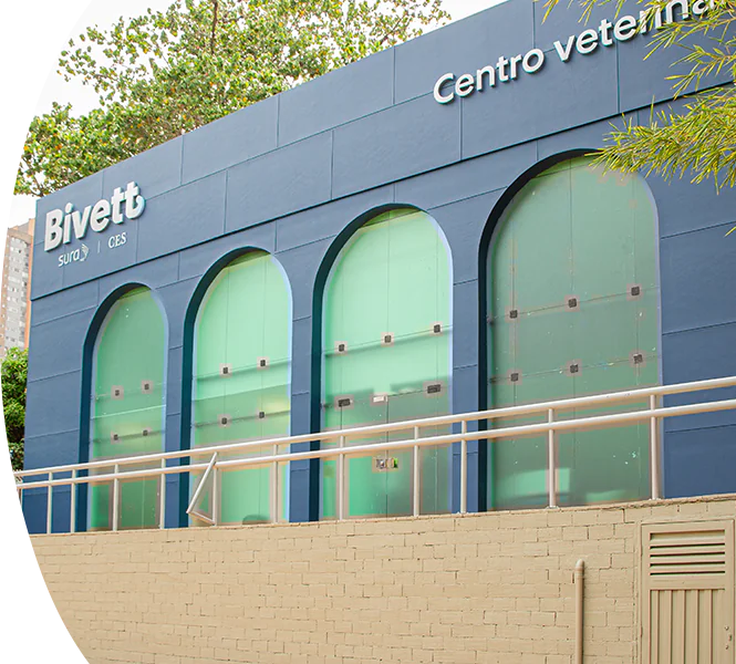 Bivett Centro Veterinario para el Bienestar Animal sede Castropol